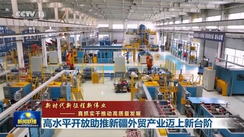推动国际合作 共筑发展新高地——叶城县人民政府加强国际经济技术合作的新举措与展望