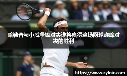 芒果体育官网入口