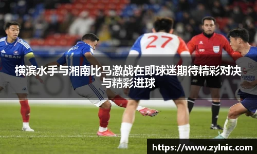 芒果体育官网入口