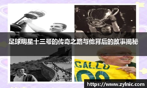 芒果体育官网入口